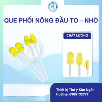 Que phối nông đầu to - nhỏ