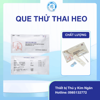 Que thử thai Heo