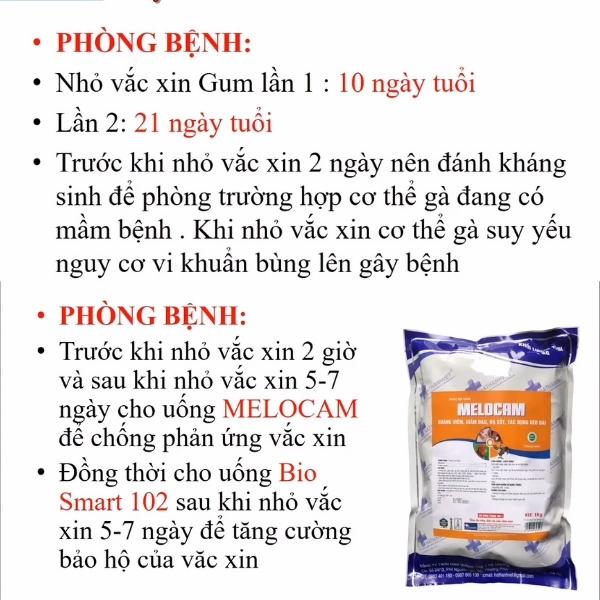 Phòng bệnh