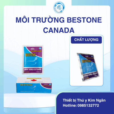 Môi Trường Bestone Canada