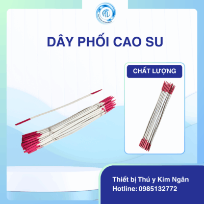 Dây phối cao su