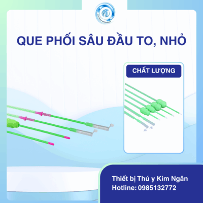 Que phối sâu đầu to, nhỏ