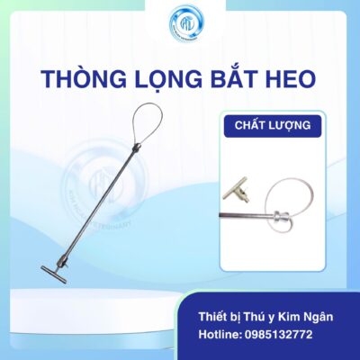 Thòng lọng bắt heo