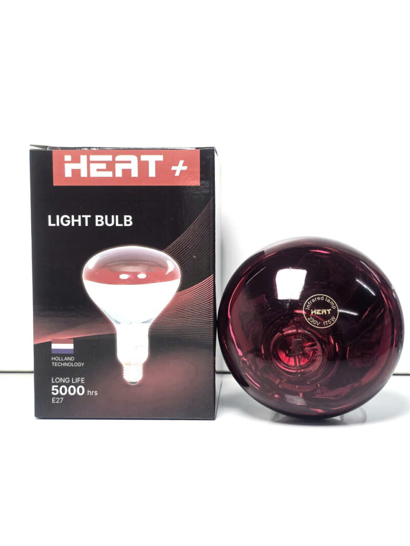 Bóng đèn hồng ngoại Heat+