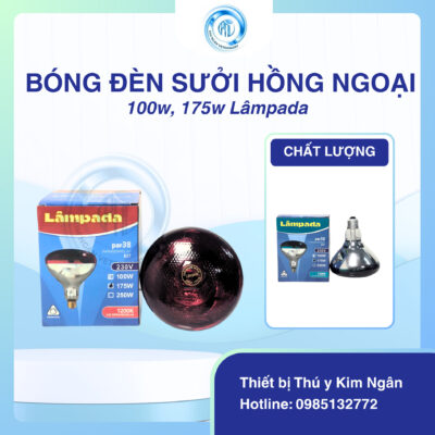 Bóng đèn sưởi hồng ngoại 100w, 175w Lâmpada