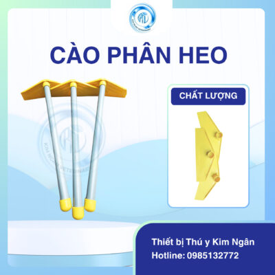 Cào phân heo